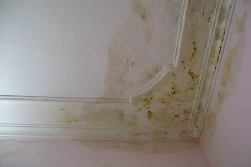 Lắp đặt ống nước PPR &acirc;m tường